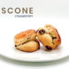 Cranberry Scone